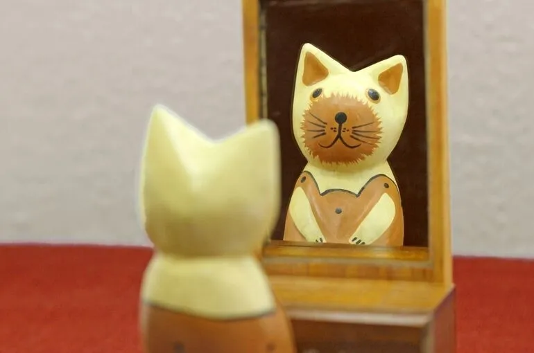 アロマの風でダイエット？〜鶴瀬・ヨガ・整体〜