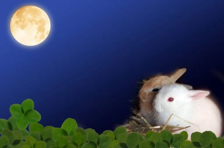 十五夜です！ヨガや整体、鶴瀬でととのえる自律神経のお話