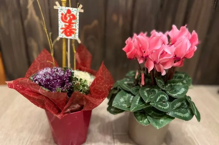 鶴瀬で整体・ヨガ〜整えて、癒される空間〜