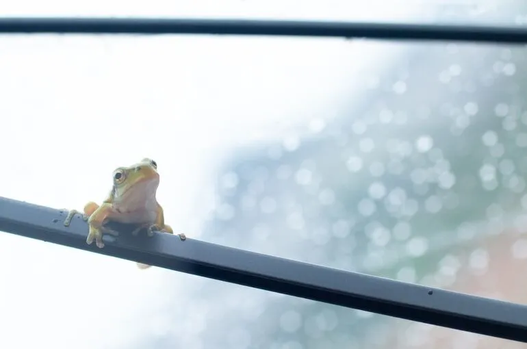 川越（鶴瀬）で整体＆リンパドレナージ【あなたの不調は湿気負け体質かも？】