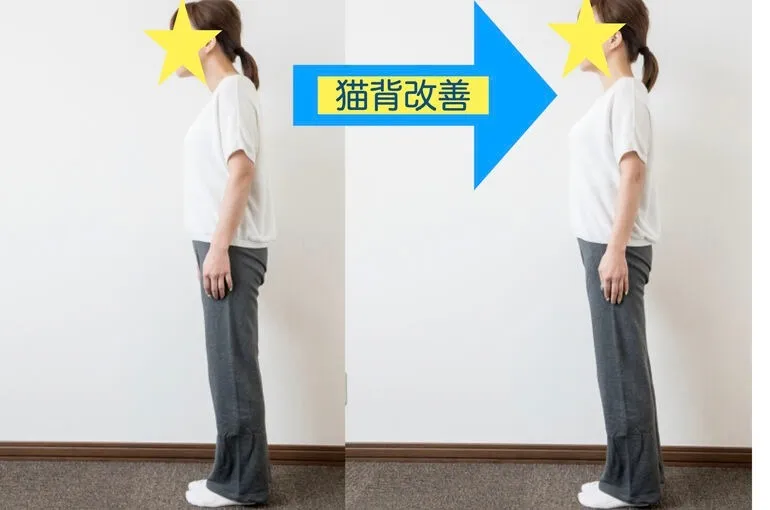 富士見市鶴瀬で整体・ヨガ・そして姿勢改善していきませんか