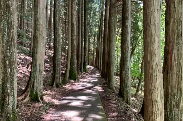 ミトコンドリアを元気に！Part ２〜鶴瀬（川越）整体・ヨガ・アロマ〜