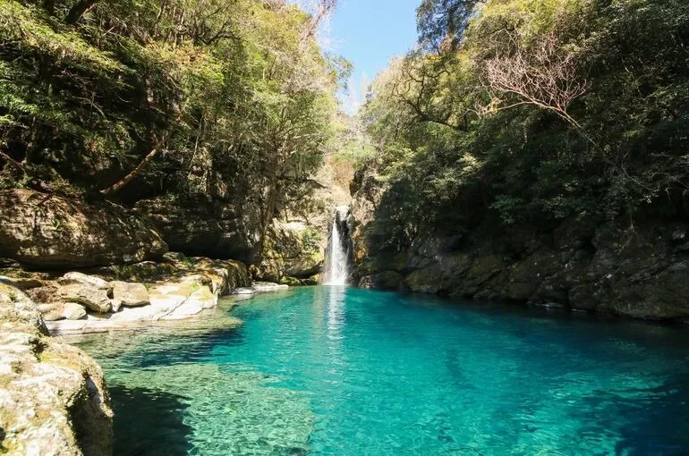 ミトコンドリアを元気に！Part 4〜（鶴瀬・川越）整体、ヨガ、アロマ〜
