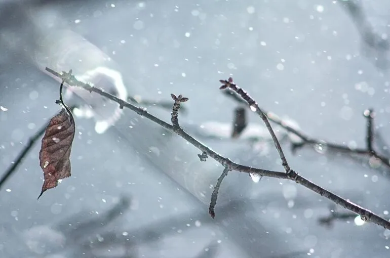 鶴瀬にも冬将軍