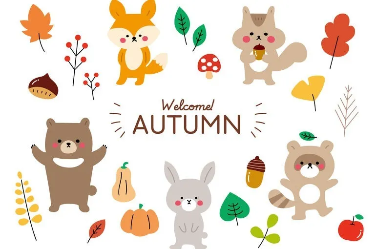 秋らしくなってきました