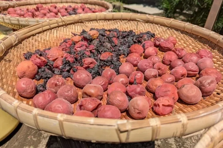 7月30日は梅干しの日！熱中症予防にGood！〜美姿勢サロン・若返り・鶴瀬〜