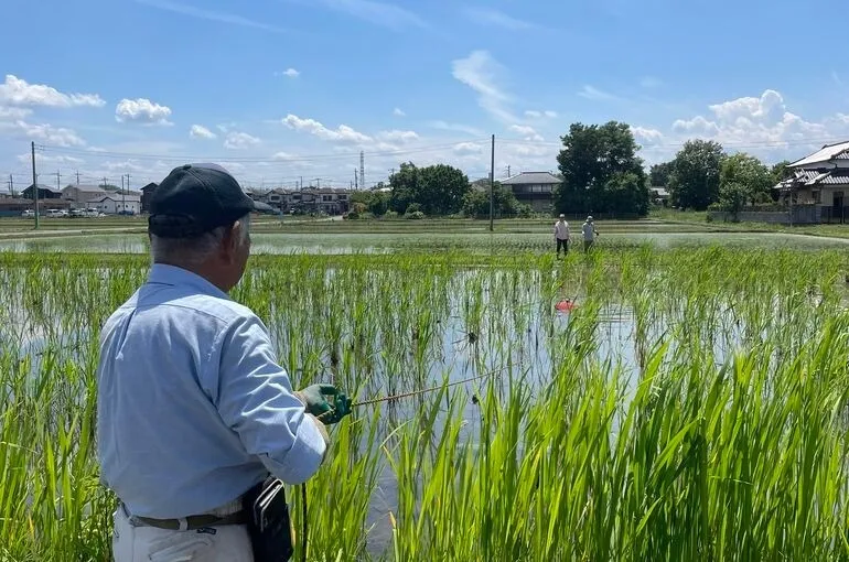 田植えのお手伝いしてきました！〜鶴瀬・整体サロン・姿勢改善・ダイエット〜