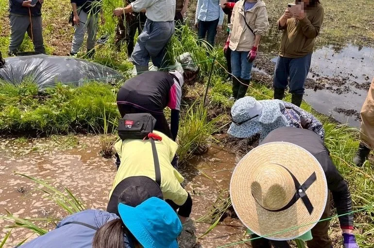 温活のすすめ〜富士見市・鶴瀬・ふじみ野・整体・ボディケア・アーユルヴェーダ〜