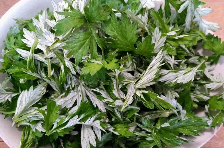 よもぎ蒸しでデトックス！富士見市鶴瀬でリーズナブルな価格でお試し