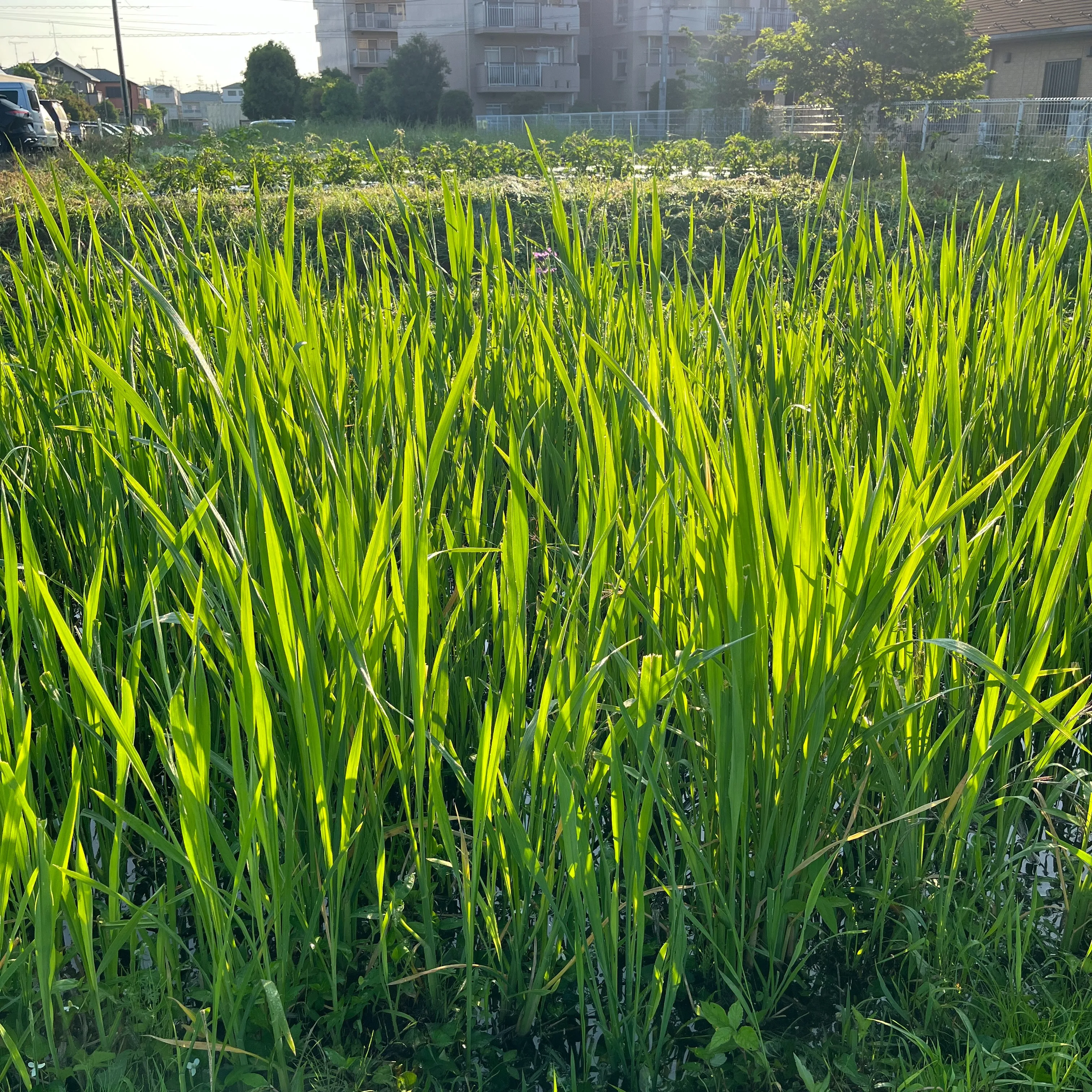 心も体もリラックスしたい日がありませんか？🌿