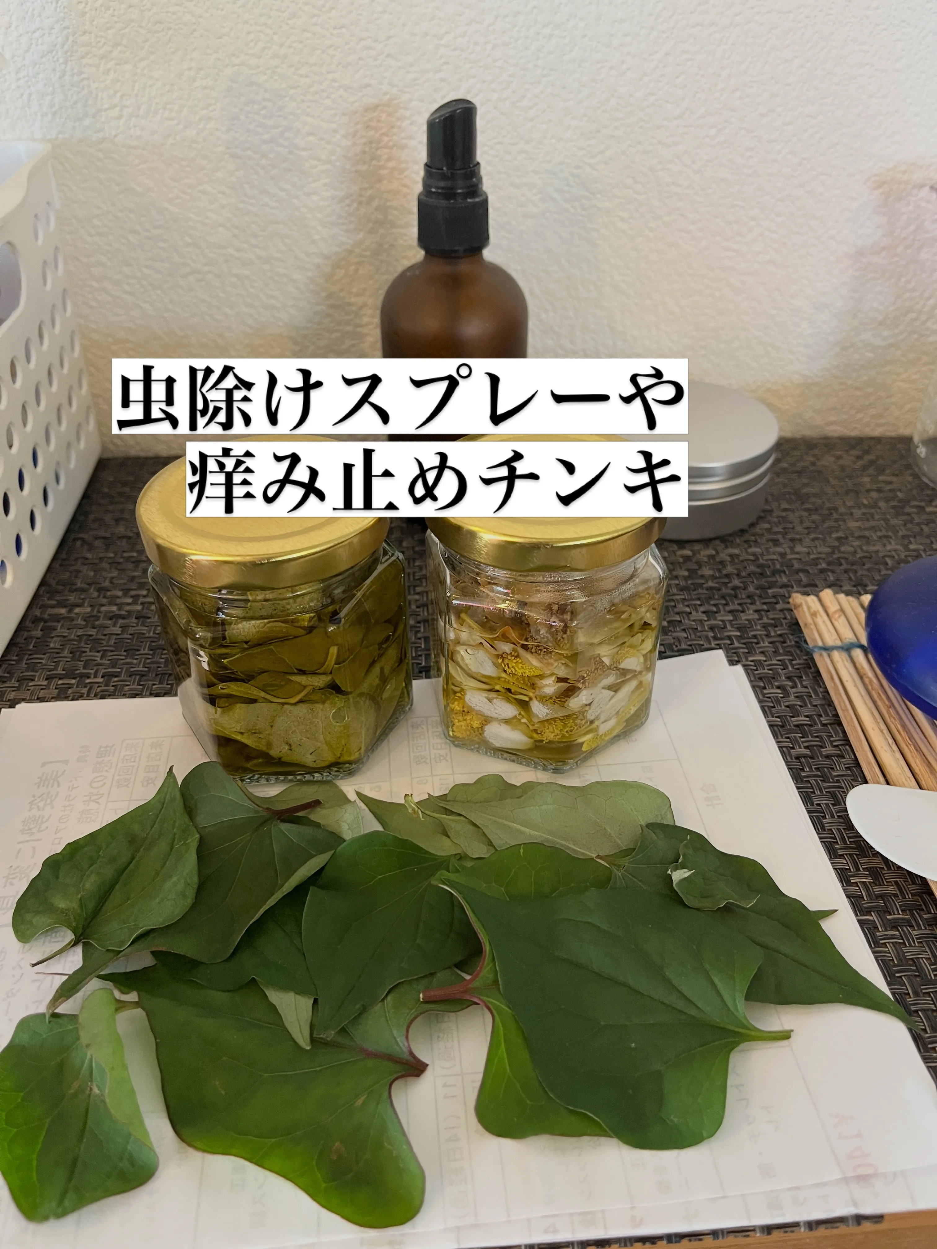 メディカルハーブ講座をアロマの風で行います